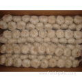 Best Quality Pure White Garlic Braids